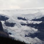 Athabasca Glacier 3