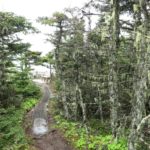 Skerwink Trail 5
