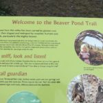 Beaver Pond Trail 1