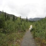 Beaver Pond Trail 8