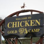Chicken Gold Camp 7